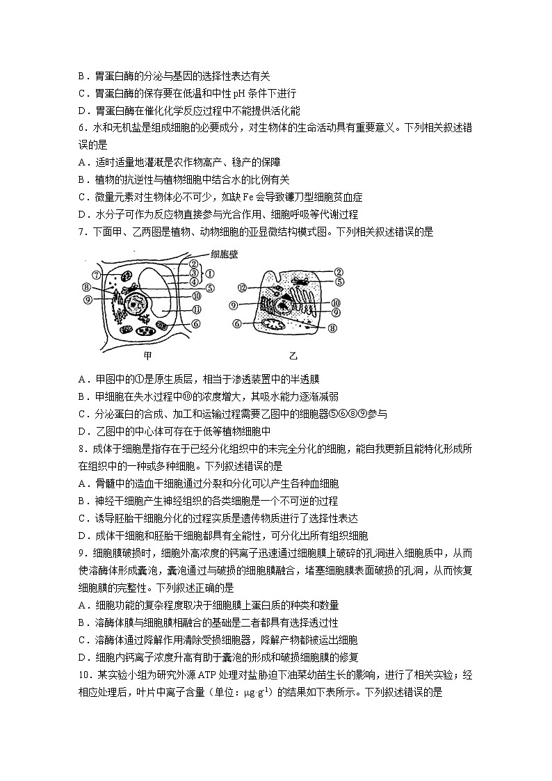 河南省名校2022-2023学年高三生物上学期阶段性考试（四）（Word版附解析）第2页