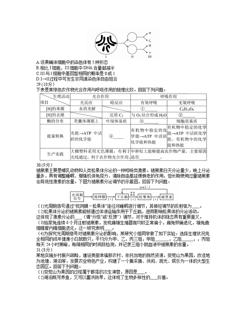 2021绵阳高三下学期第三次诊断性考试（三诊）生物试题含答案02