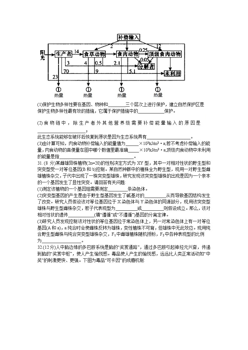 2021省哈尔滨九中高三下学期3月第二次模拟考试理科综合生物试题含答案03