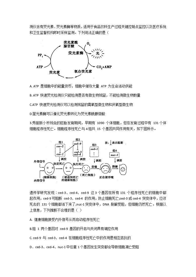2021山东省实验中学高三下学期4月第一次模拟考试（一模）生物试题含答案02