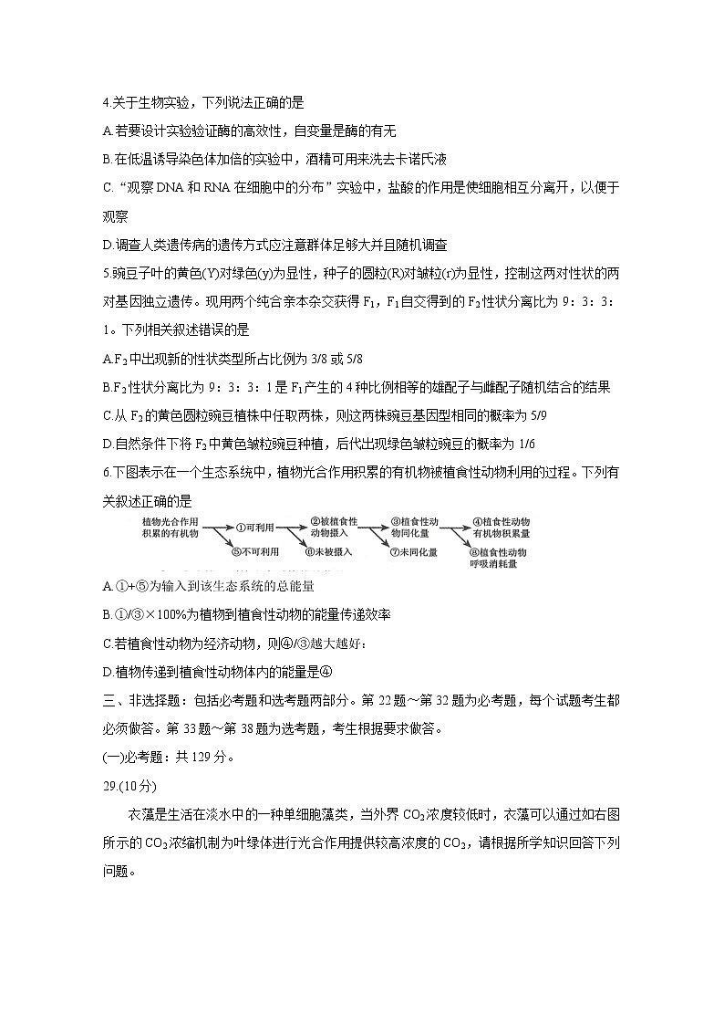 2021郑州高三下学期3月第二次质量预测（二模）生物含答案第2页