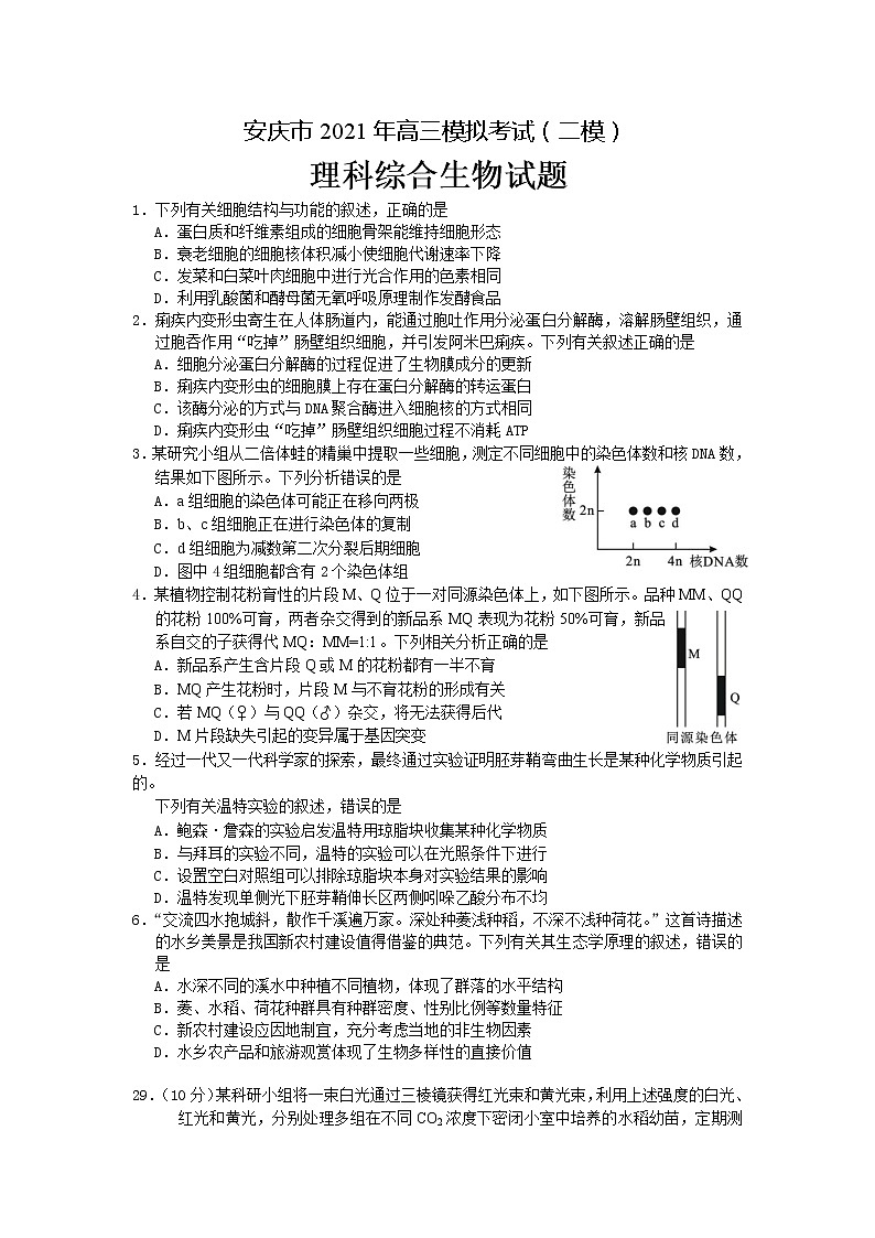 2021安庆高三下学期3月模拟考试（二模）理科综合生物试题含答案01