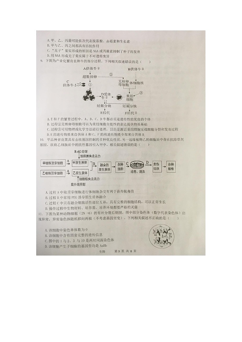2021天津市十二区县重点学校高三下学期毕业班联考模拟（一）生物试题图片版含答案第3页