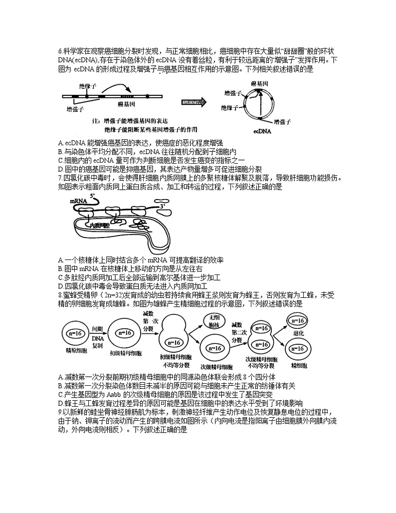 2021江苏省苏锡常镇四市高三下学期3月教学情况调研（一）（一模）生物试题含答案02