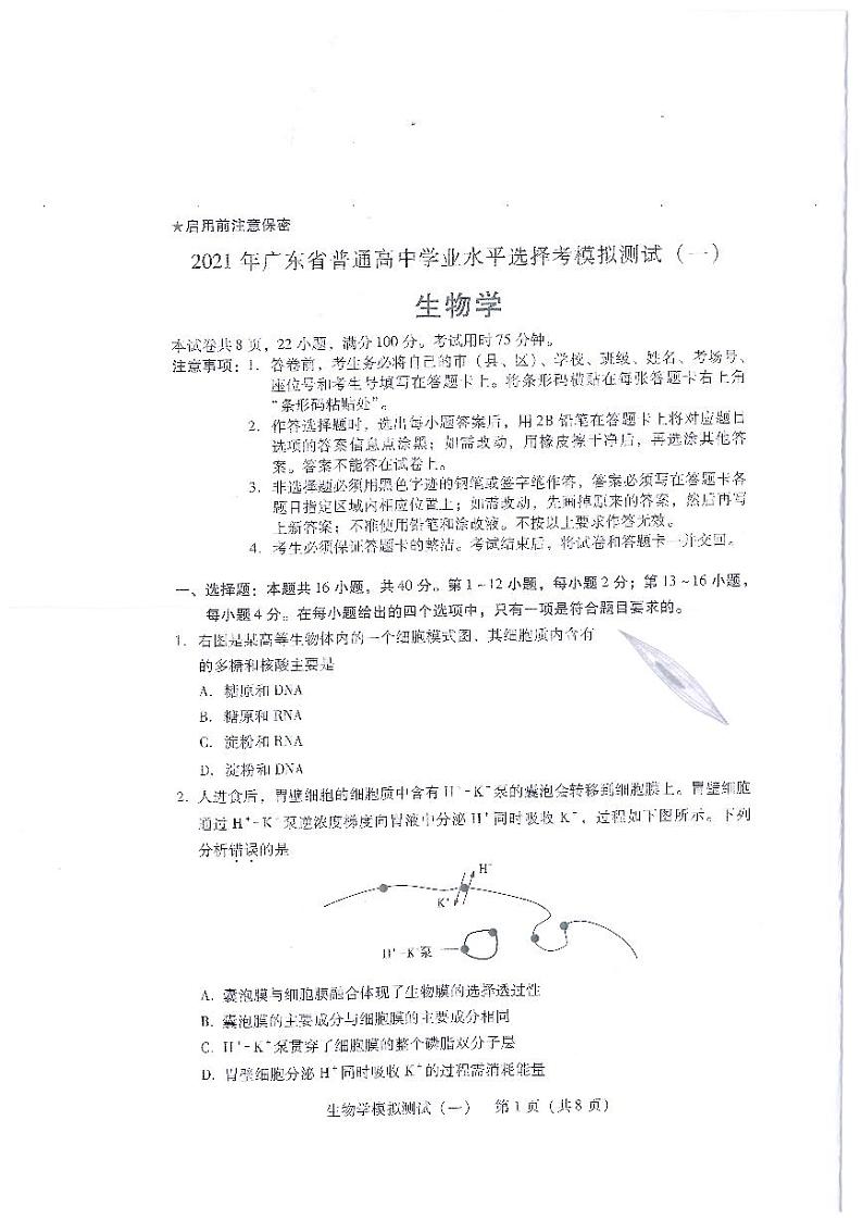2021广东省高三3月普通高中学业水平选择考模拟测试（一）（广东一模）生物试题含答案03