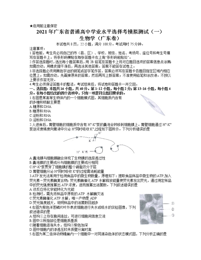 2021广东省高三3月普通高中学业水平选择考模拟测试（一）（广东一模）生物试题含答案01