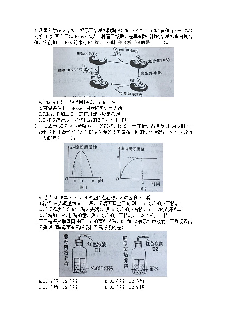 2021天津和平区高三下学期第一次质量调查（一模）生物试卷含答案02