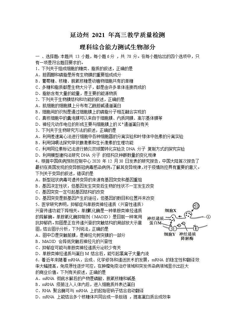 2021延边州高三教学质量检测（2月底）理科综合生物试题含答案01