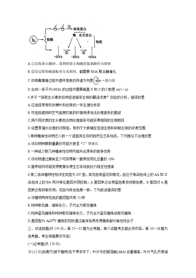 2021晋中高三下学期3月适应性考试（二模）生物含解析02