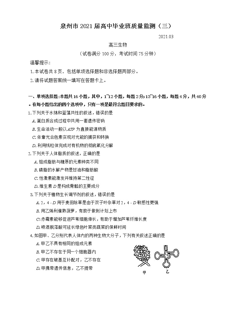 2021泉州高三下学期毕业班3月质量监测（三）（一模）生物试题缺答案01