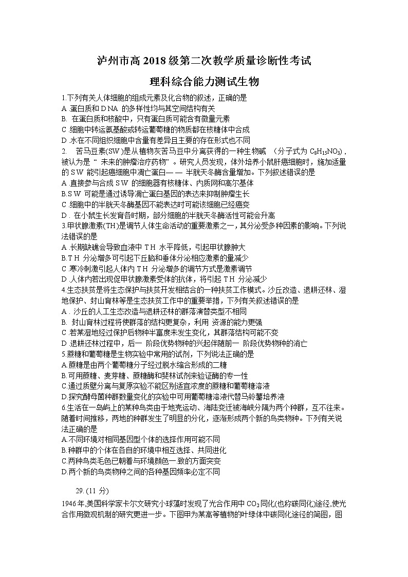 2021泸州高三下学期第二次教学质量诊断性考试理科综合生物试题含答案01