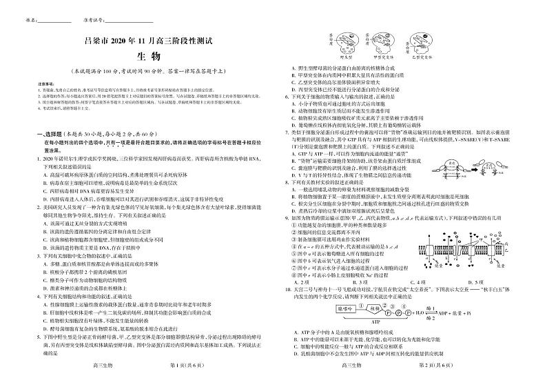 山西省吕梁市2020-2021学年高三上学期11月阶段性测试生物试题（PDF可编辑）第1页
