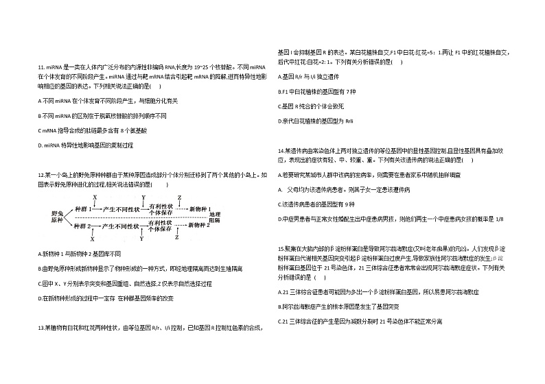 2021衡水武邑武罗学校高三上学期期中考试生物试题含答案第3页