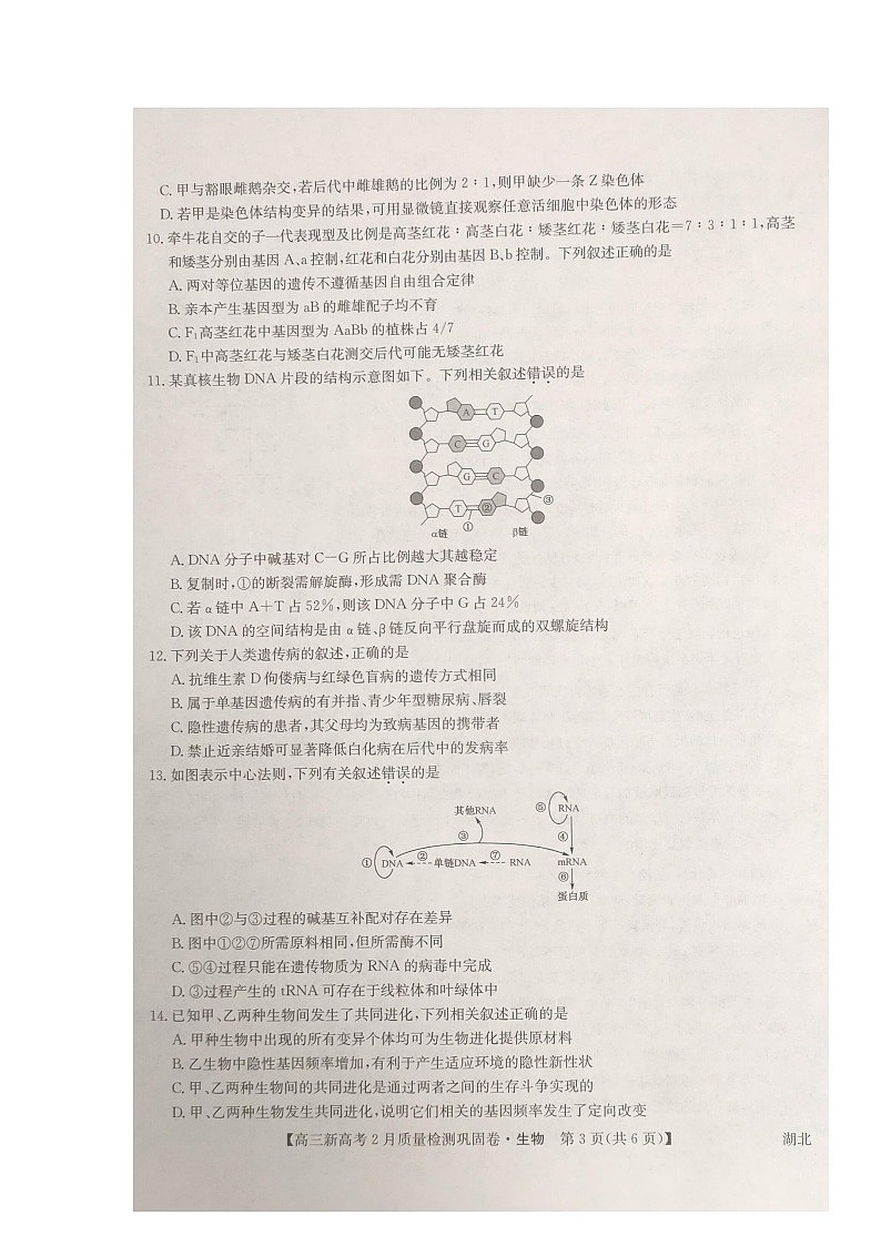 湖北省九师联盟2020-2021学年高三下学期新高考2月质量检测巩固卷生物试题（图片版）第3页