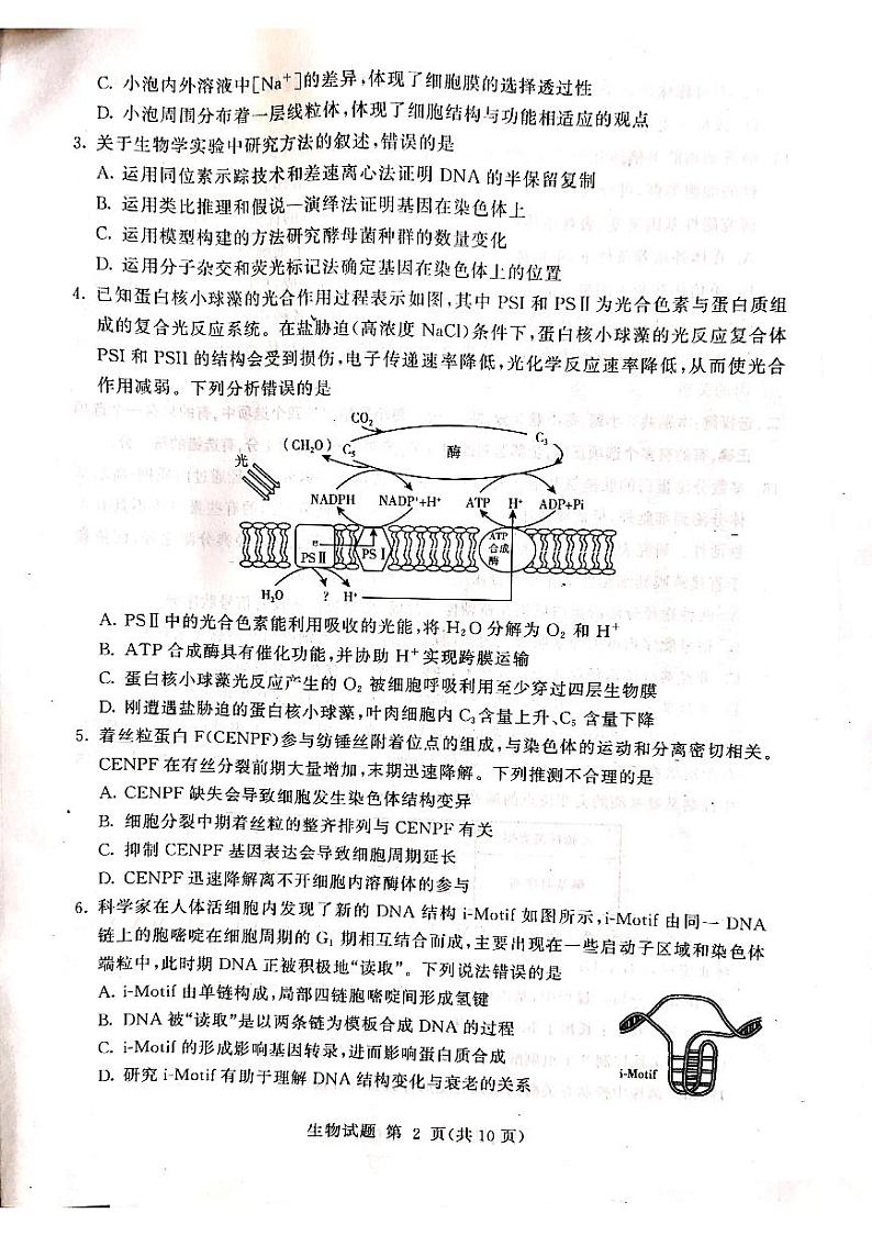 2021高三下学期学业水平等级考试（模拟）（临沂一模）生物试题扫描版缺答案第2页