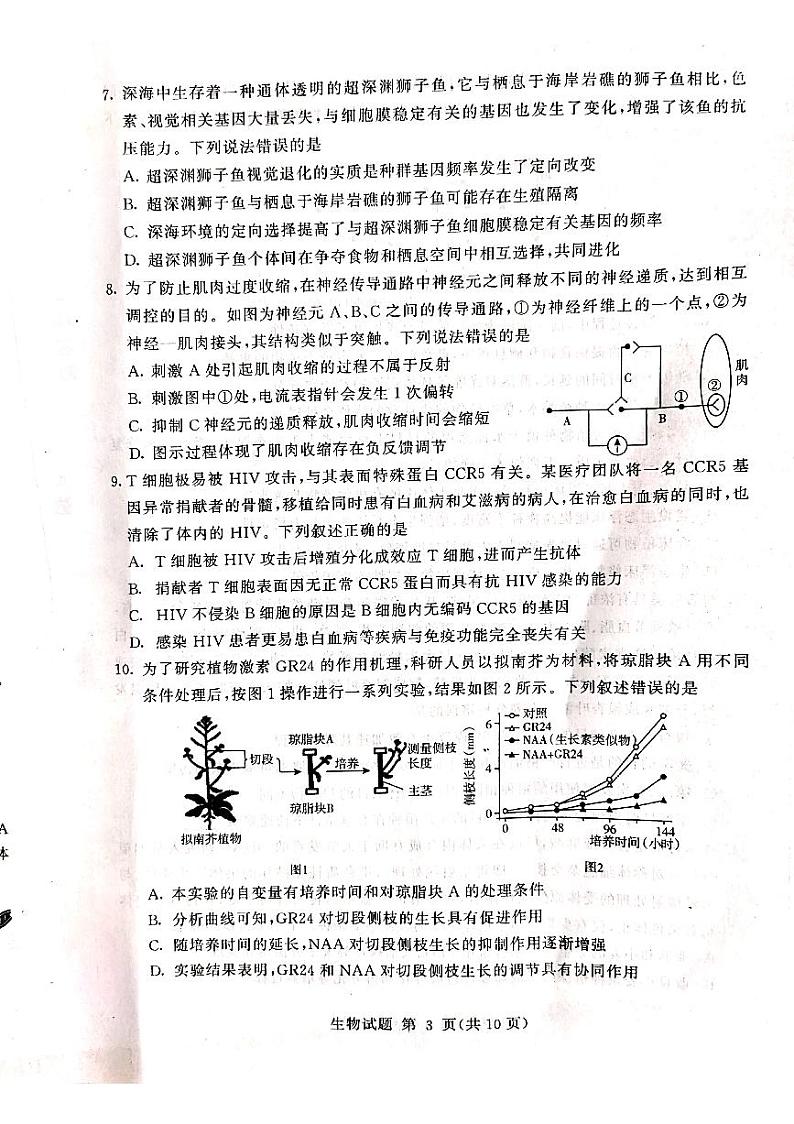 2021高三下学期学业水平等级考试（模拟）（临沂一模）生物试题扫描版缺答案第3页