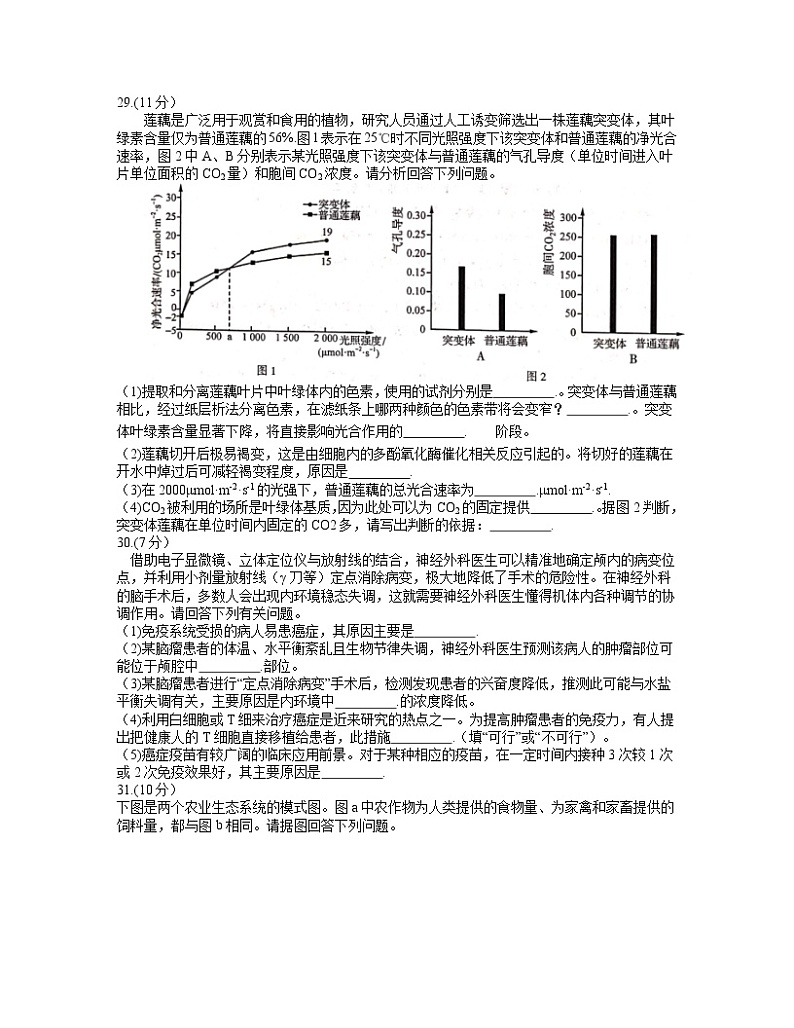 2021河南省高三下学期3月普通高中毕业班高考适应性测试理科综合生物试题含答案第2页