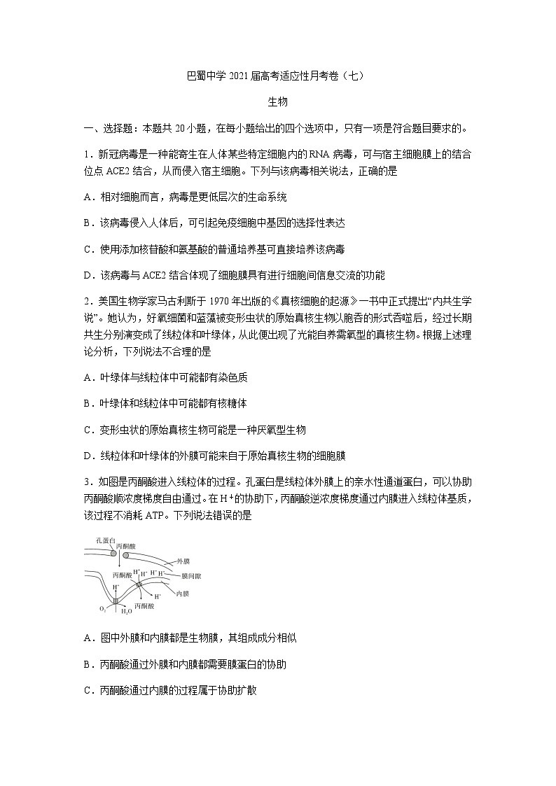 2021重庆市巴蜀中学高三高考适应性月考卷（七）生物试题含答案第1页