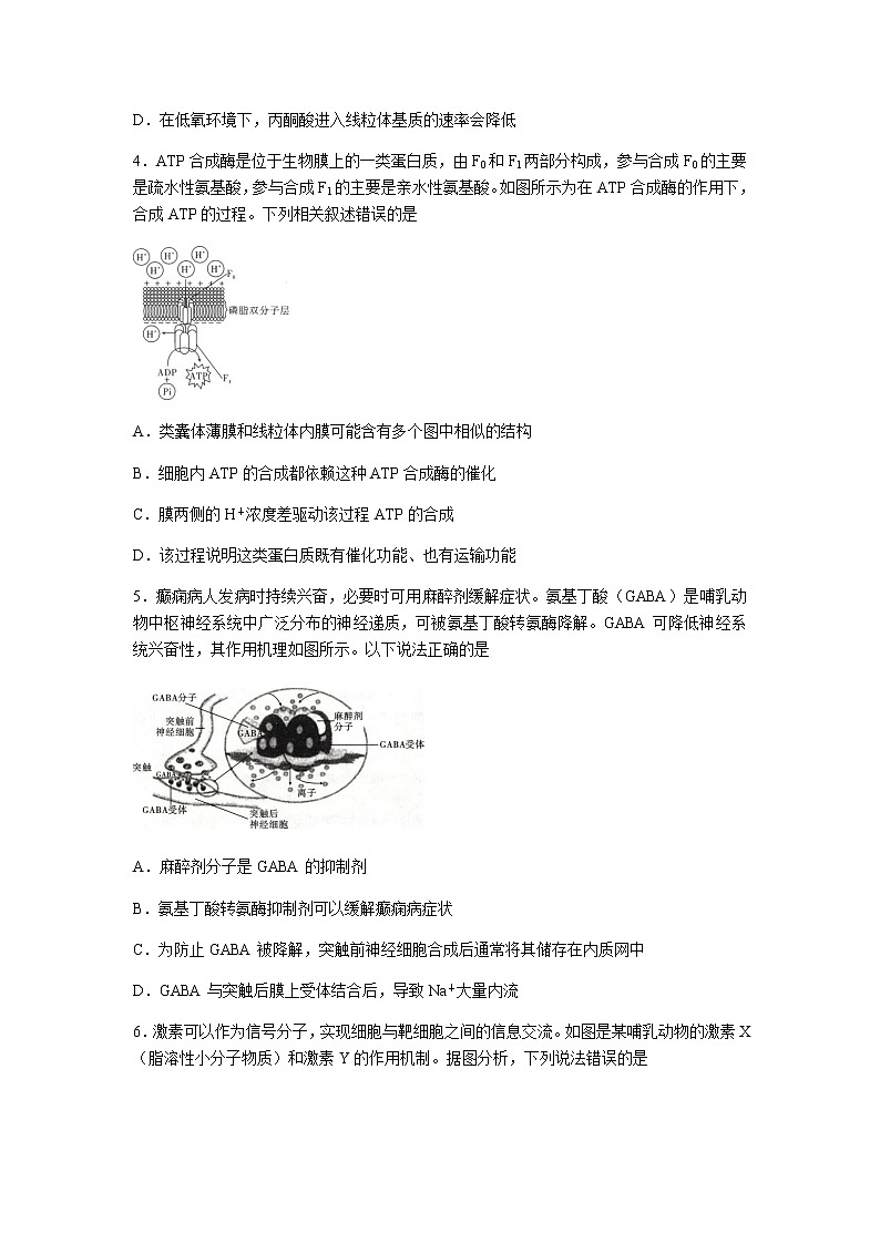 2021重庆市巴蜀中学高三高考适应性月考卷（七）生物试题含答案第2页