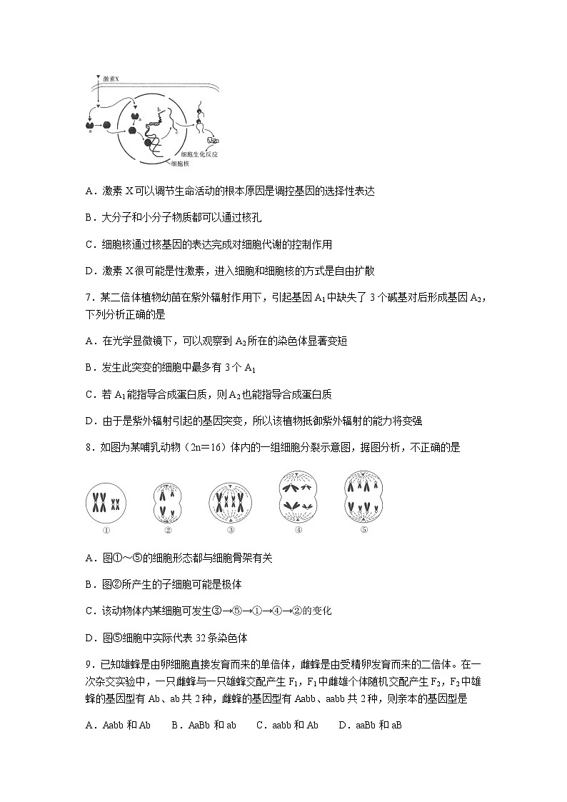 2021重庆市巴蜀中学高三高考适应性月考卷（七）生物试题含答案第3页