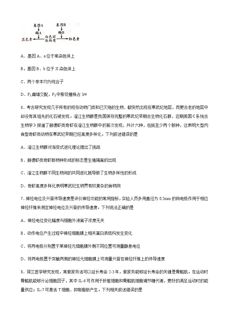 2021潍坊高三下学期3月一模考试生物试题含答案03