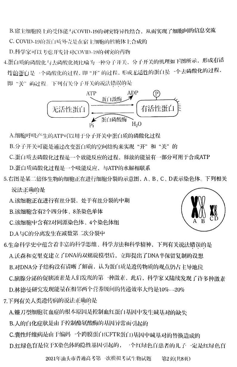 2021汕头高三下学期普通高考第一次模拟考试生物试题扫描版含答案第2页