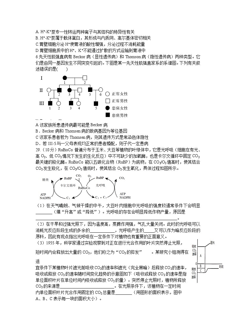 2021成都七中高三下学期二诊模拟考试理综生物试题含答案02