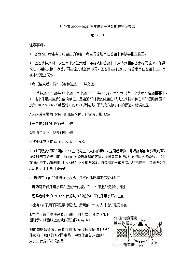 2021烟台高三上学期期末考试生物试题含答案第1页
