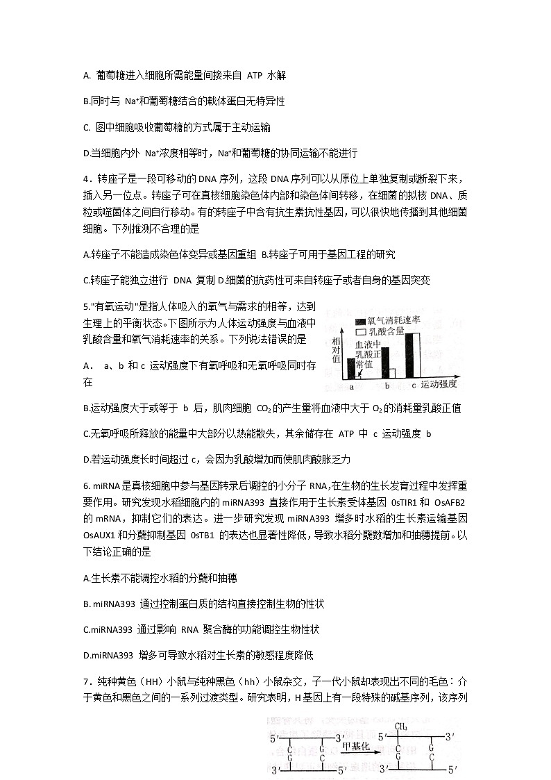 2021烟台高三上学期期末考试生物试题含答案第2页