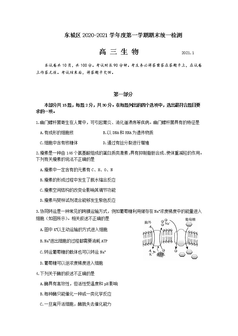 2021北京东城区高三上学期期末考试生物试题含答案01