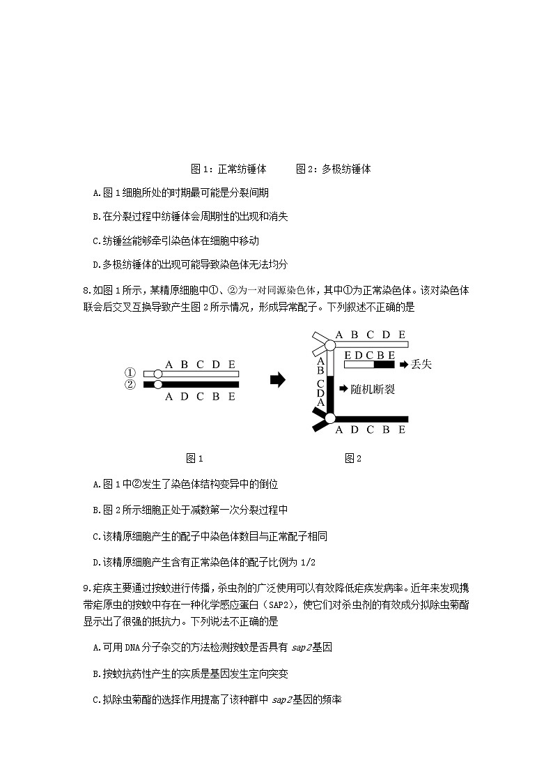 2021北京东城区高三上学期期末考试生物试题含答案03