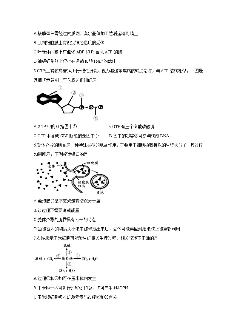 2021吕梁高三上学期第一次模拟考试生物含答案02