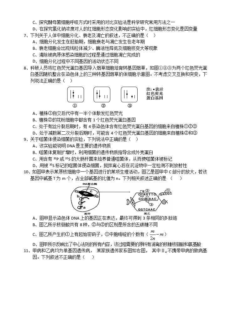 2021汉中高三年级第一次模拟生物试题含答案02