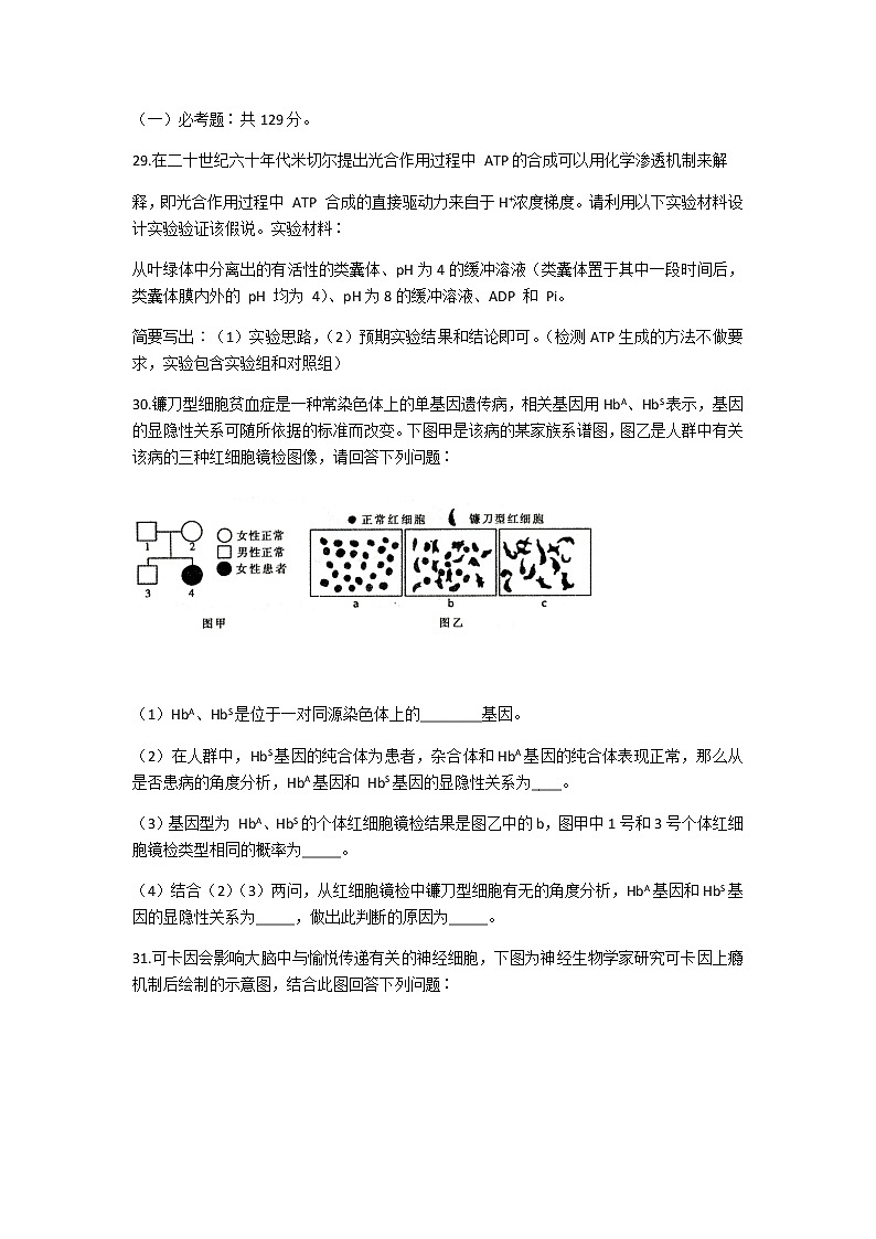 2021包头高三上学期期末考试理科综合生物试题含答案第3页