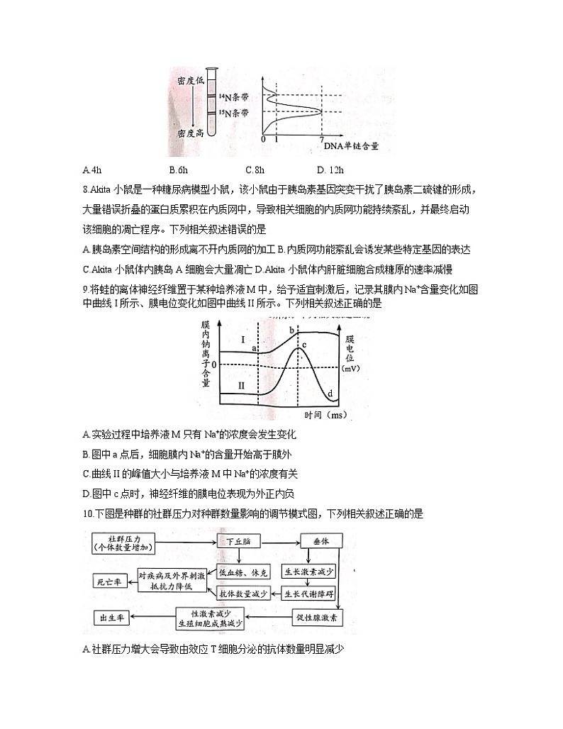 2021扬州高三下学期期初调研测试生物试题含答案03