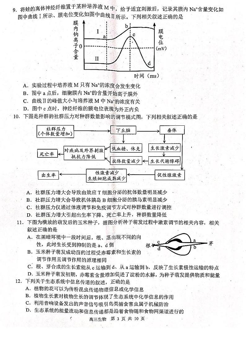 2021扬州高三下学期期初调研测试生物试题扫描版含答案03