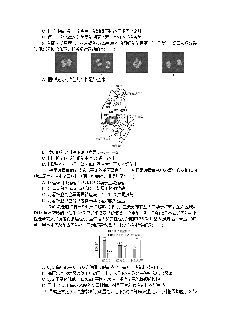 2021南通、徐州、宿迁、淮安、泰州、镇江六高三下学期第一次模拟考试生物含答案03