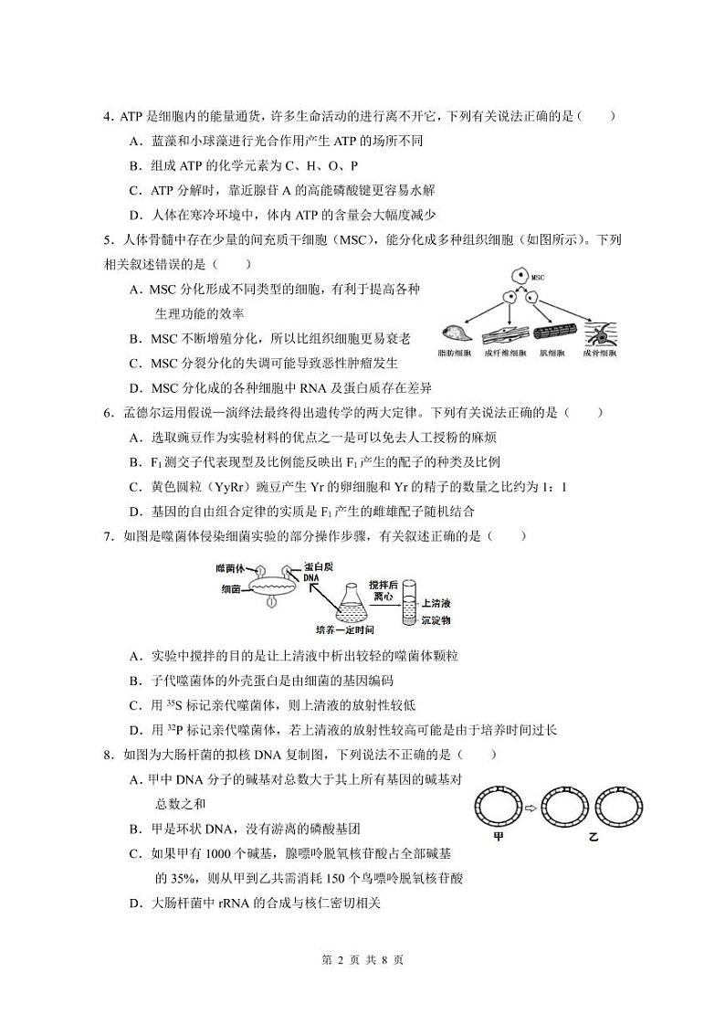 2021届高三四校联考（生物问卷）第2页