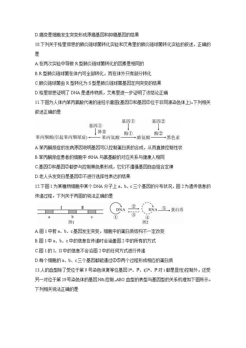 2021吉安高三上学期期末生物含答案第3页