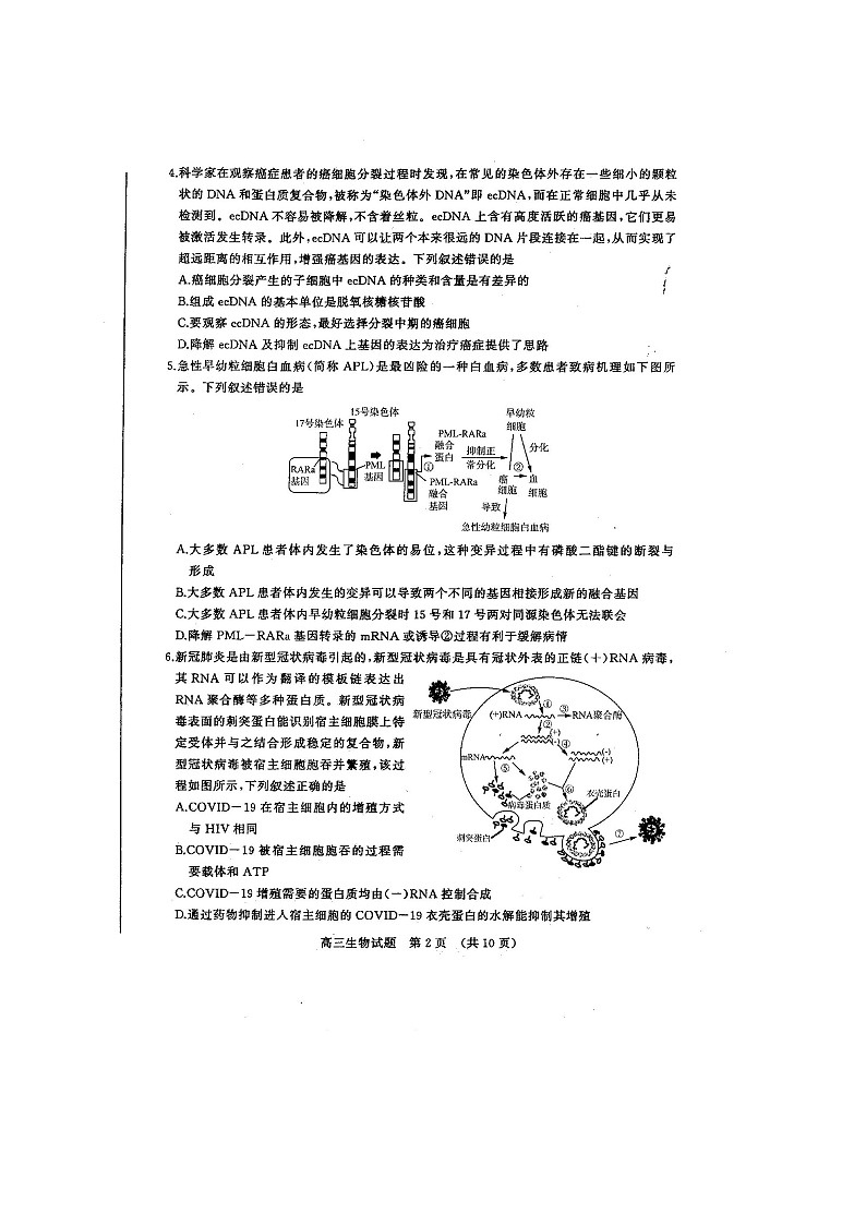 2021聊城高三上学期期末考试生物试题扫描版含答案02