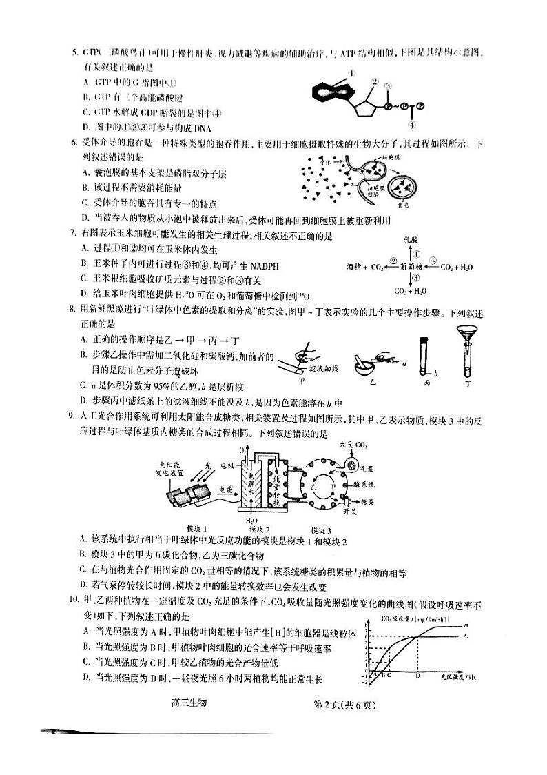 2021吕梁高三上学期第一次模拟考试生物试题PDF版含答案02