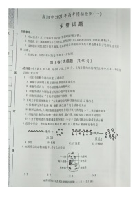 2021咸阳高三上学期高考模拟检测（一）生物试题图片版含答案