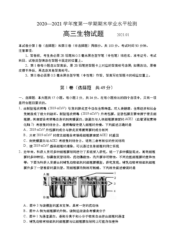 2021青岛黄岛区高三上学期期末考试生物试题含答案01
