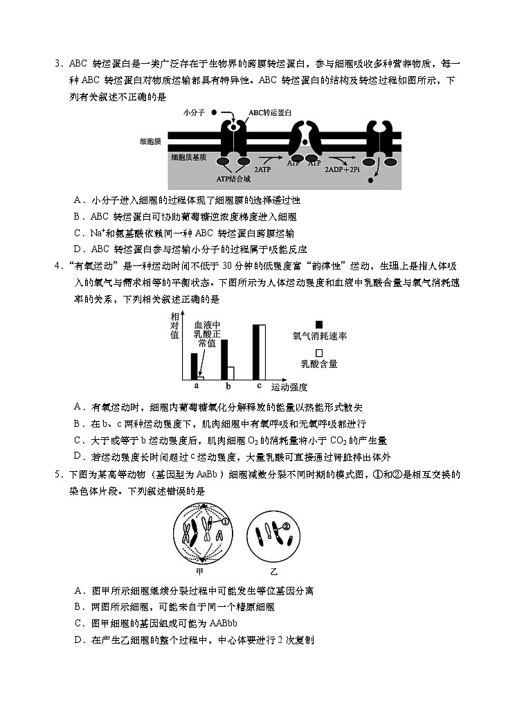 2021青岛黄岛区高三上学期期末考试生物试题含答案02