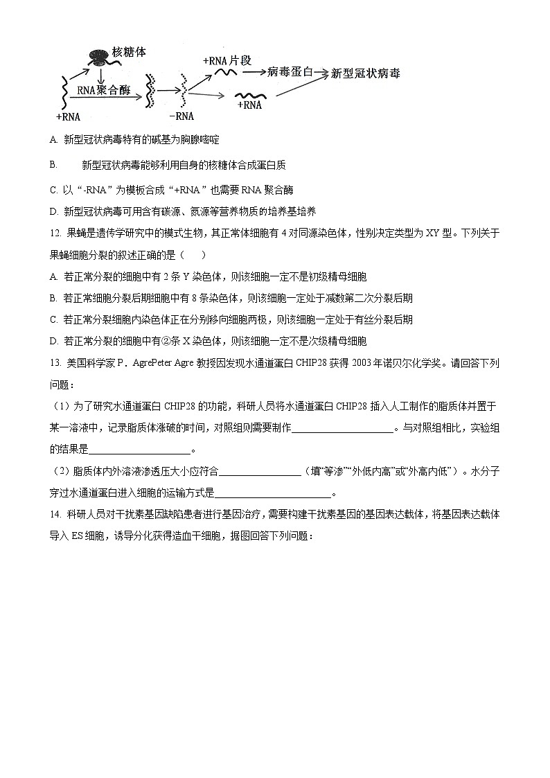 2021天津市部分区高三上学期期末考试生物试题含答案03