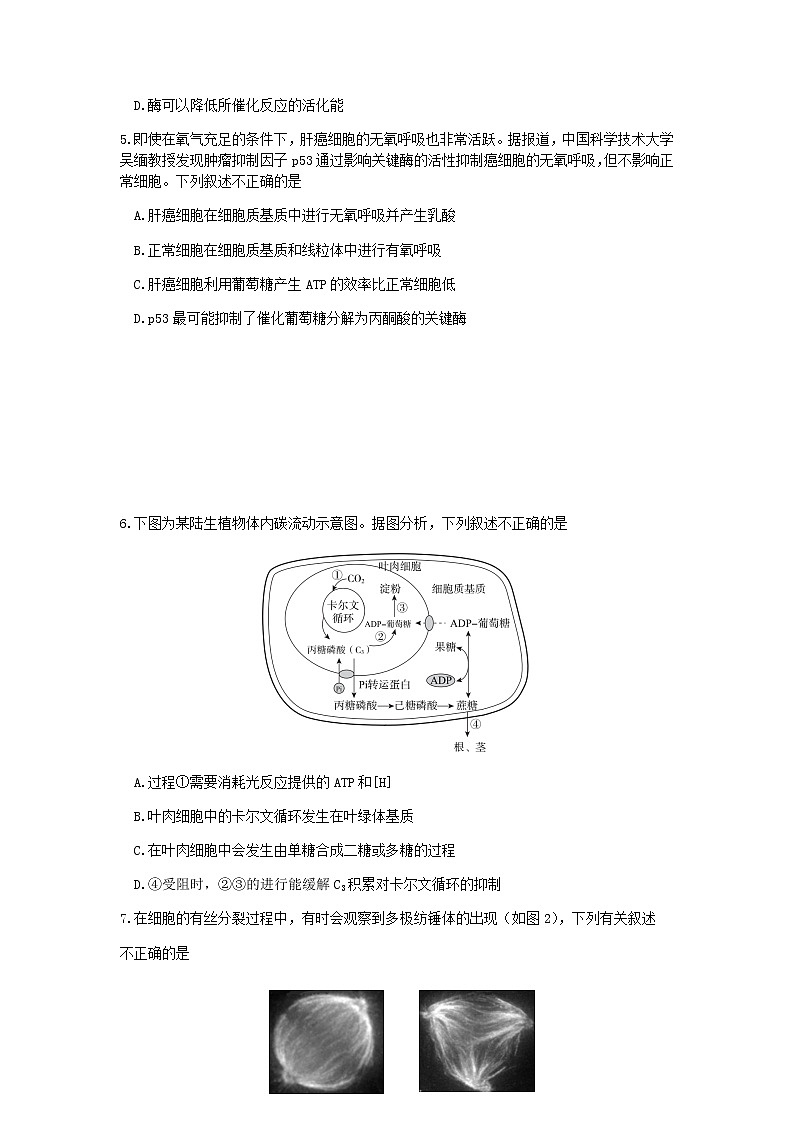 2021北京东城区高三上学期期末考试生物试题含答案02