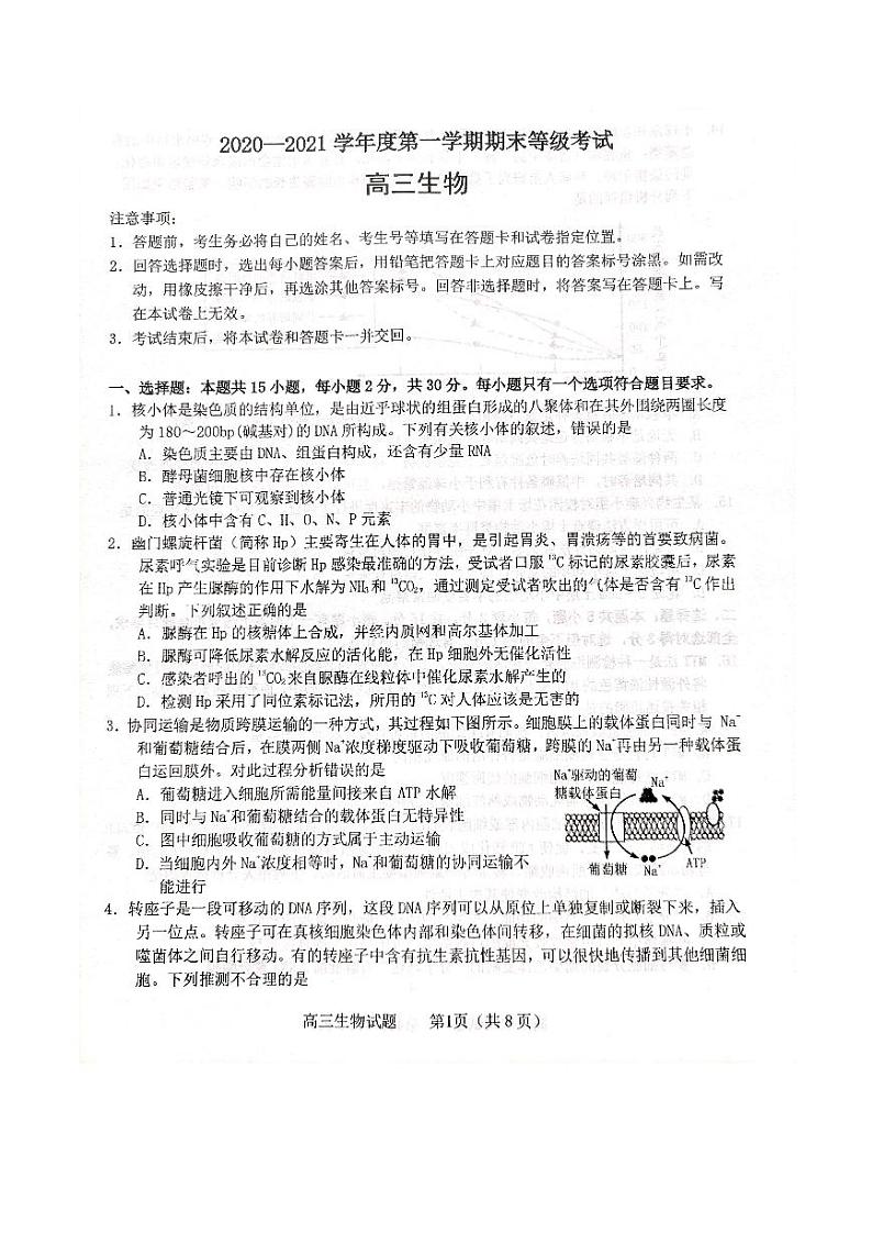2021烟台高三上学期期末考试生物试题扫描版含答案01