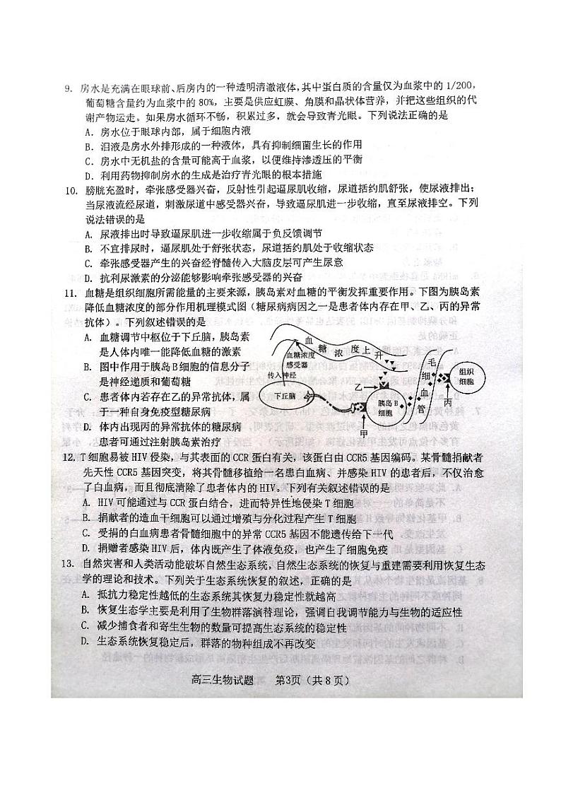 2021烟台高三上学期期末考试生物试题扫描版含答案03