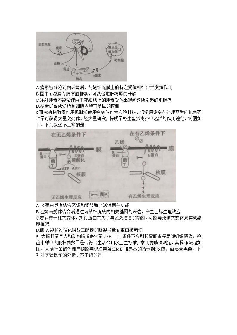 2021天津市滨海七所重点学校高三上学期期末考试生物试卷含答案03