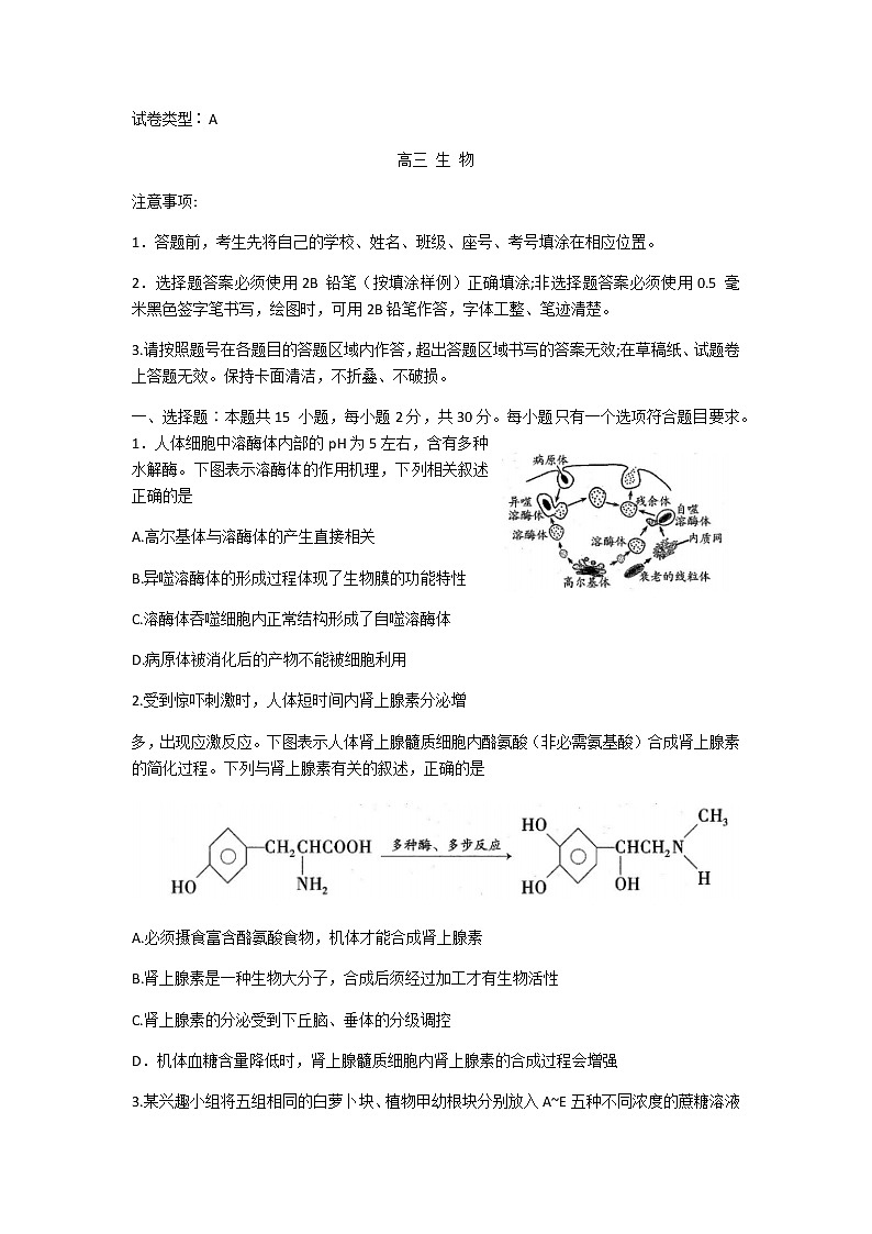 2021潍坊高三上学期期末统考生物试题含答案第1页